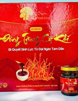 Cao tinh chất Đông trùng cốt khí