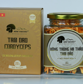 Đông Trùng Hạ Thảo Tam Đảo Sấy thăng hoa - 20 g